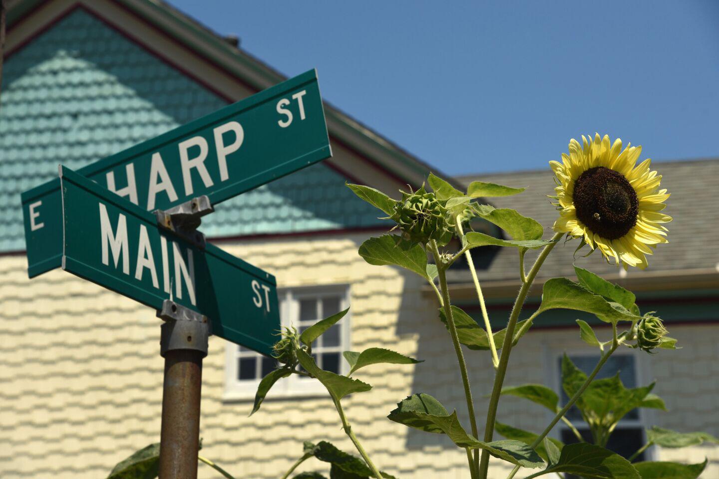 The corner of Sharp and Main Streets